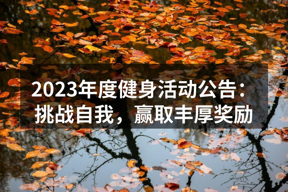 参与者在健身挑战中展现自我