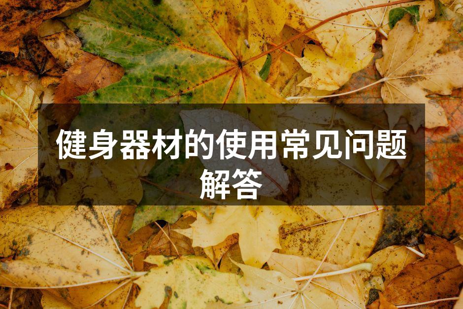 健身器材的多样选择