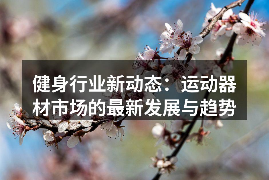 新款智能健身器材,提升运动体验